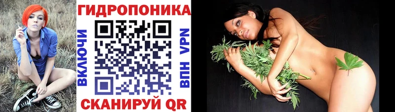 Купить наркоту Куса Бошки Шишки Alpha PVP ГАШ