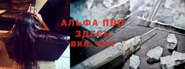 хмурый Аркадак