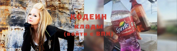 хмурый Аркадак