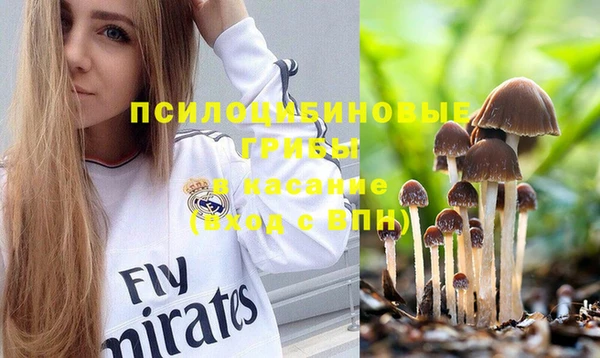 прущие крисы Армянск
