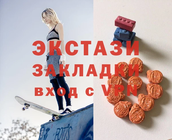 хмурый Аркадак