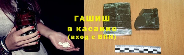 хмурый Аркадак
