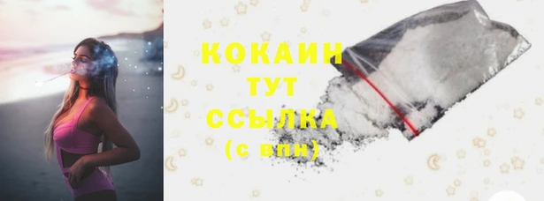 хмурый Аркадак