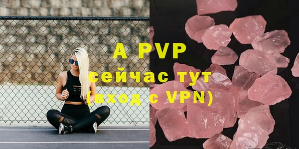 хмурый Аркадак