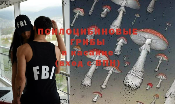 хмурый Аркадак