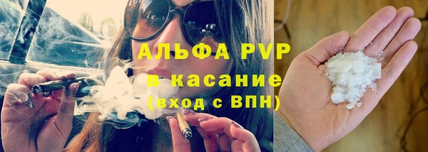 хмурый Аркадак