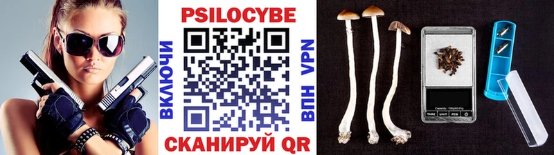 как найти наркотики  Куса  Галлюциногенные грибы Cubensis 